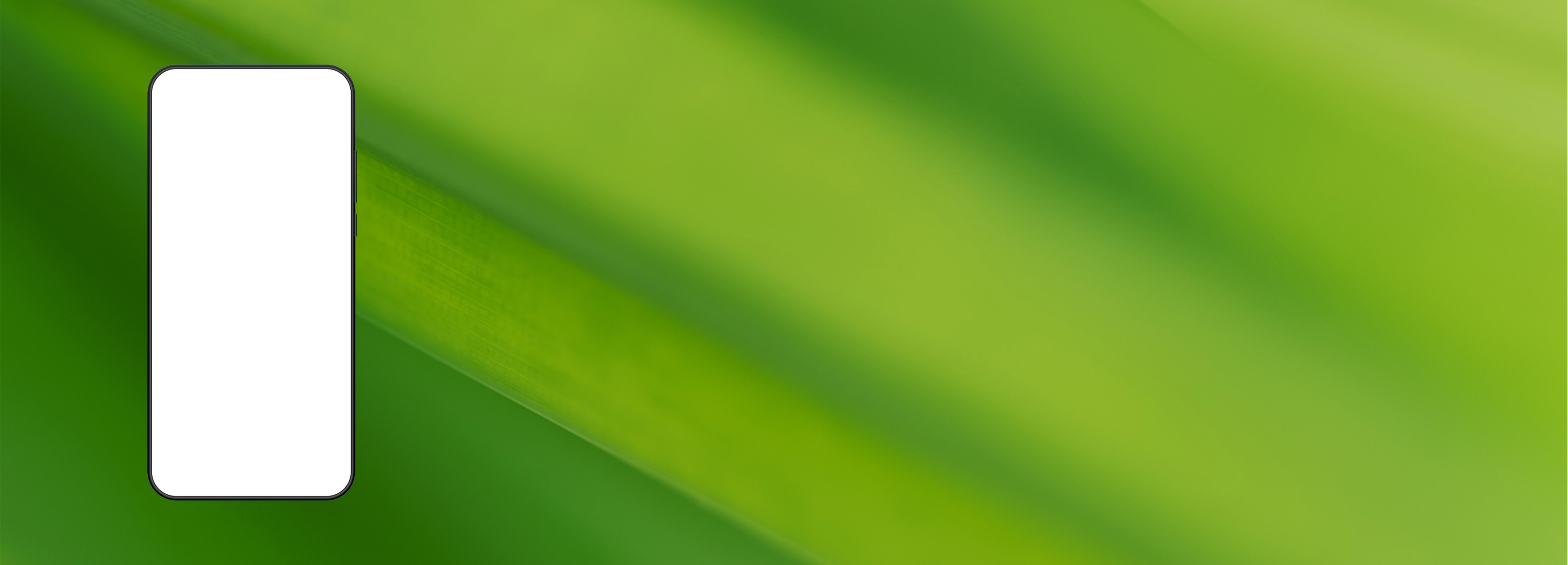 תושב איי אל: ערן אורגני